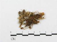 登錄號:F0001830藏品圖，第3張