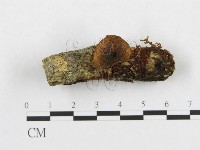 登錄號:F0001832藏品圖，第1張