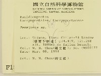 登錄號:F0001833藏品圖，第2張