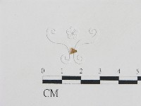 登錄號:F0001833藏品圖，第1張