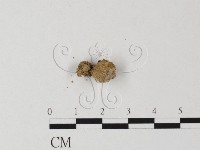 登錄號:F0001834藏品圖，第1張