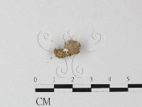 登錄號:F0001834藏品圖，第3張