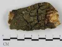 登錄號:F0001837藏品圖，第1張