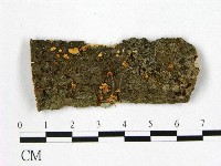 登錄號:F0001839藏品圖，第1張