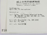 小皮傘屬藏品圖，第2張