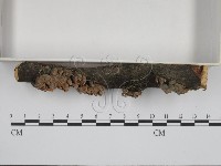 登錄號:F0001841藏品圖，第3張