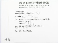 多孔菌屬藏品圖，第2張