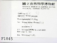 登錄號:F0001845藏品圖，第2張