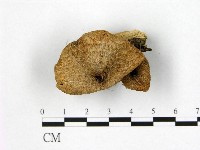 登錄號:F0001845藏品圖，第1張