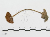 登錄號:F0001847藏品圖，第1張