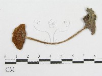 登錄號:F0001847藏品圖，第3張