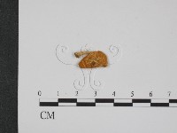 登錄號:F0001848藏品圖，第3張