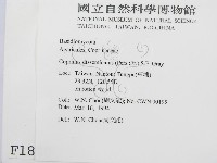 登錄號:F0001850藏品圖，第2張