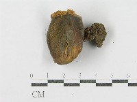 登錄號:F0001853藏品圖，第3張