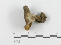 登錄號:F0001853藏品圖，第4張