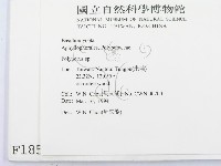 多孔菌屬藏品圖，第2張