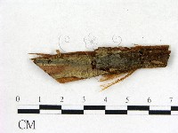 登錄號:F0001857藏品圖，第1張