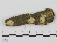 登錄號:F0001858藏品圖，第1張