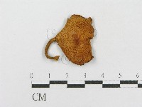 登錄號:F0001859藏品圖，第3張