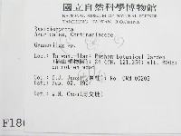 登錄號:F0001861藏品圖，第2張