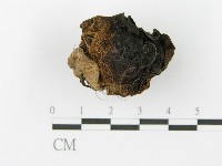 登錄號:F0001862藏品圖，第3張