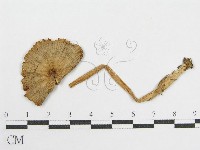 登錄號:F0001864藏品圖，第3張
