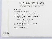 登錄號:F0001865藏品圖，第2張