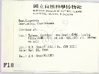 鬼傘屬藏品圖，第2張