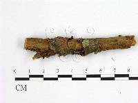 登錄號:F0001867藏品圖，第3張