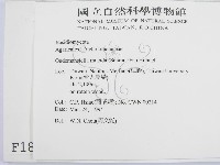 登錄號:F0001869藏品圖，第2張