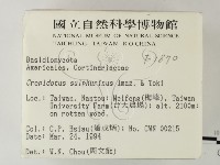 登錄號:F0001870藏品圖，第2張
