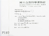 登錄號:F0001872藏品圖，第2張