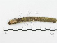 登錄號:F0001872藏品圖，第4張