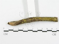 登錄號:F0001872藏品圖，第5張