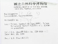 登錄號:F0001873藏品圖，第3張