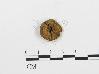 登錄號:F0001873藏品圖，第1張