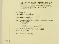 登錄號:F0001875藏品圖，第2張