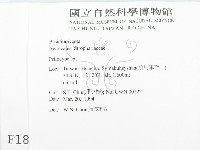 登錄號:F0001877藏品圖，第2張