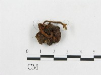 登錄號:F0001877藏品圖，第3張