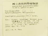 松生擬層孔菌藏品圖，第2張