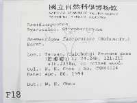 登錄號:F0001879藏品圖，第2張