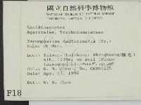 登錄號:F0001880藏品圖，第2張