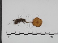 登錄號:F0001880藏品圖，第3張