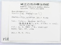 登錄號:F0001882藏品圖，第2張
