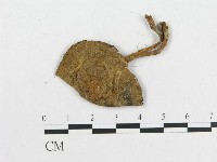 登錄號:F0001882藏品圖，第3張