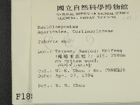 登錄號:F0001883藏品圖，第2張
