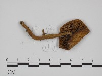 登錄號:F0001883藏品圖，第3張