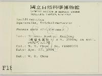 登錄號:F0001884藏品圖，第2張