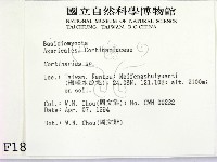 登錄號:F0001887藏品圖，第2張