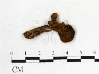登錄號:F0001887藏品圖，第3張